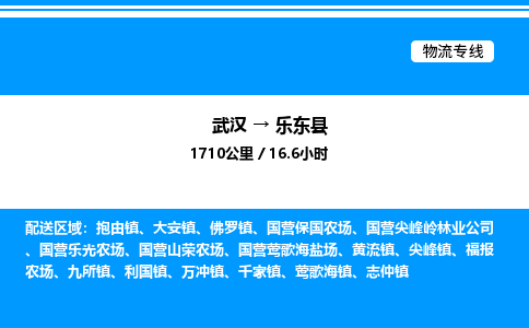 武漢到樂(lè)東縣物流專線-武漢至樂(lè)東縣貨運(yùn)公司
